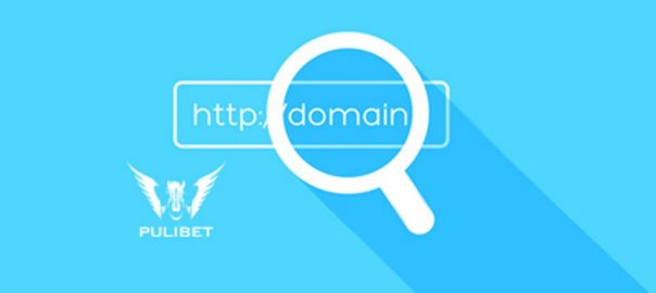 Pulibet262 Güncel Adres